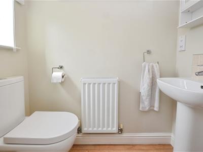 Picture 7